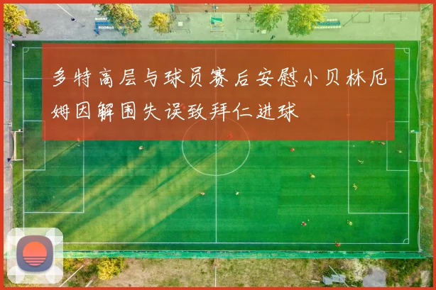 多特高层与球员赛后安慰小贝林厄姆因解围失误致拜仁进球