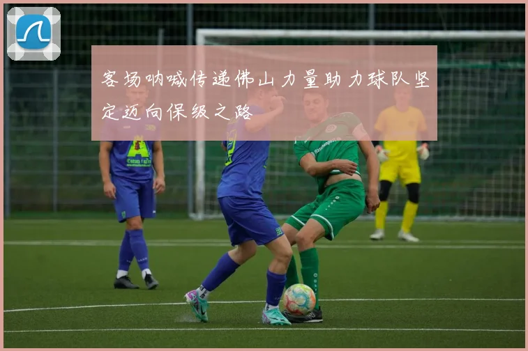 客场呐喊传递佛山力量助力球队坚定迈向保级之路